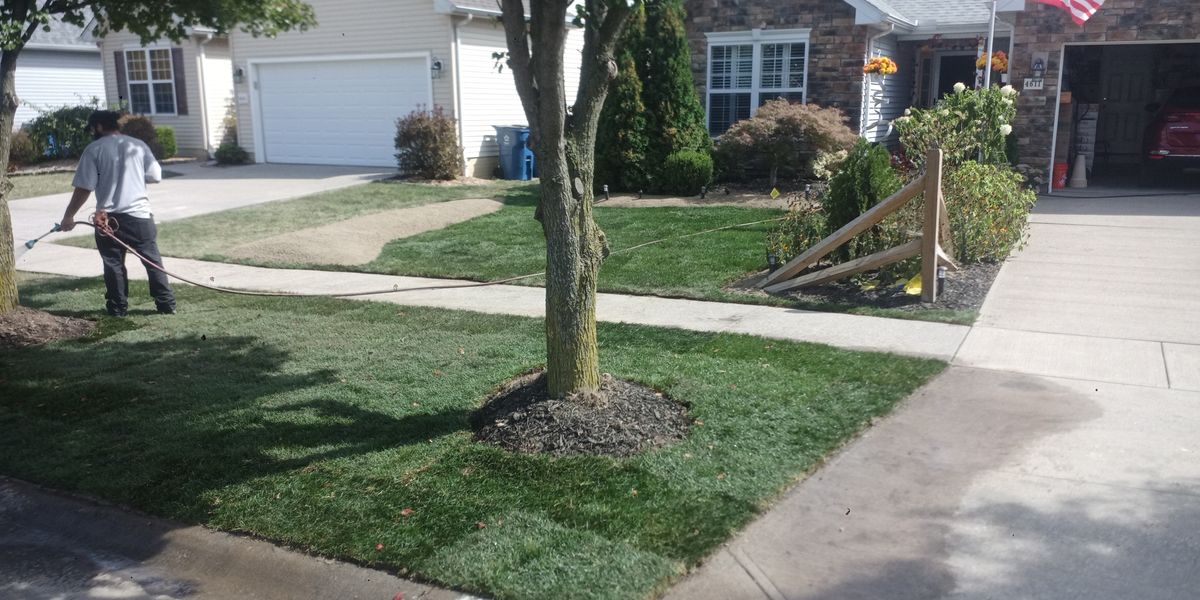 Shrub Trimming for Hendricks Mowing in Amherst, OH