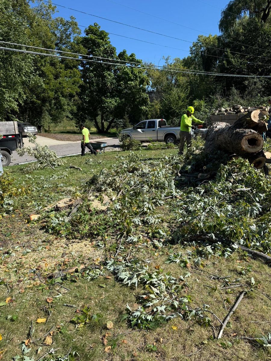 Seasonal Clean Up for Titan Landscaping in Rosemount, MN