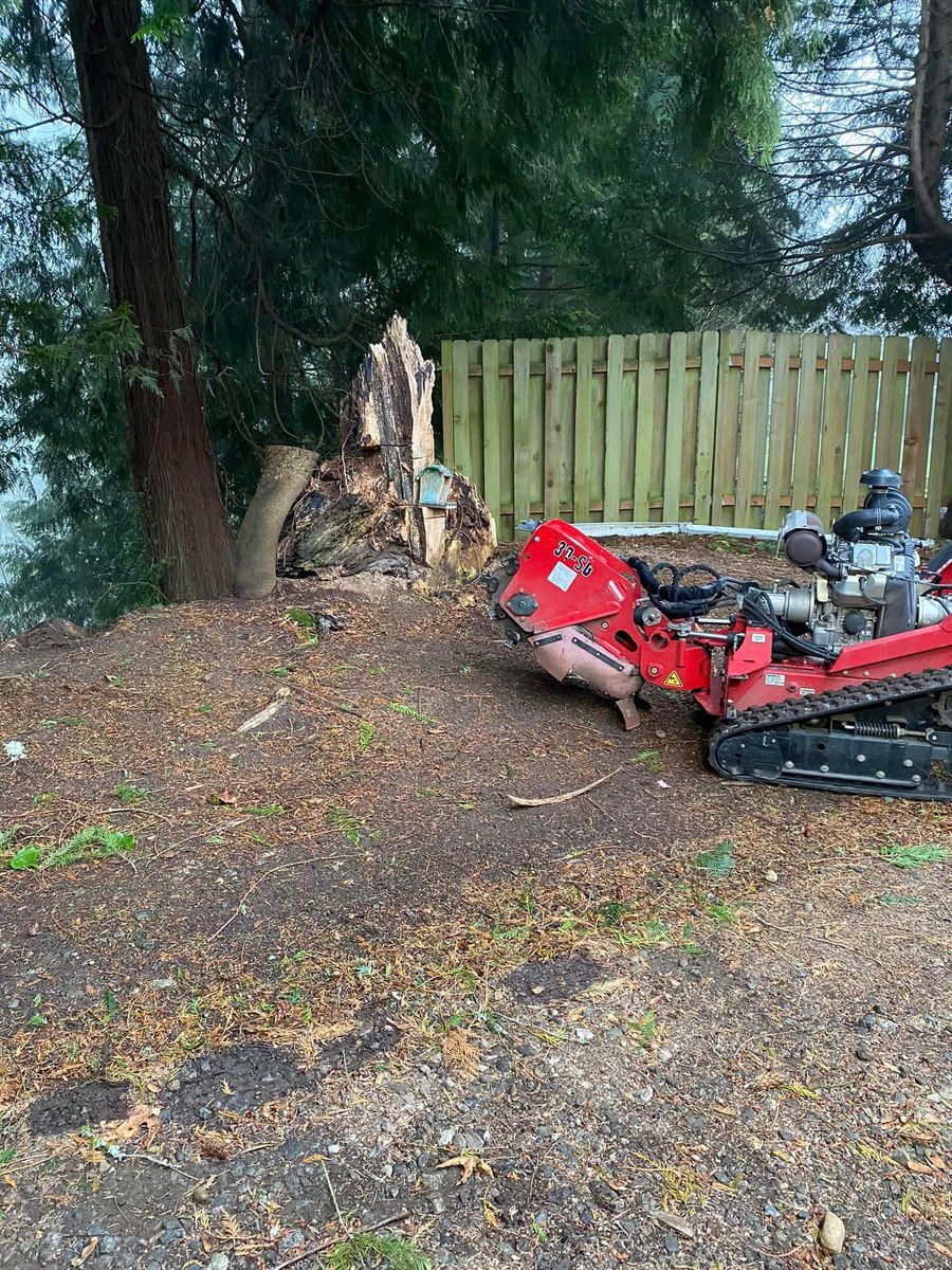 Shrub Trimming for Juan Esteban Landscape service LLC  in Bonney Lake, WA