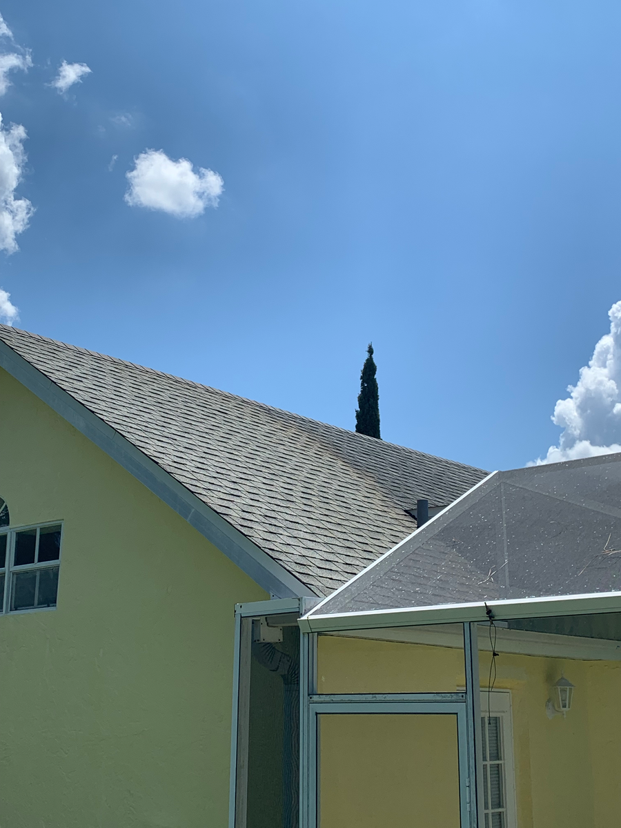 Roof Cleaning And Power Wash for My Softwash Guys in Venice, FL