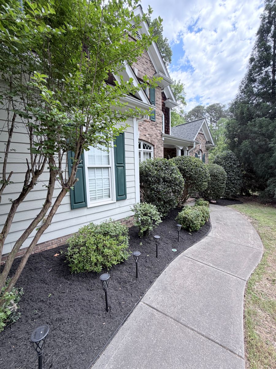 Tree & Shrub Care for Wake & Franklin Grounds Maintenance in Raleigh, NC