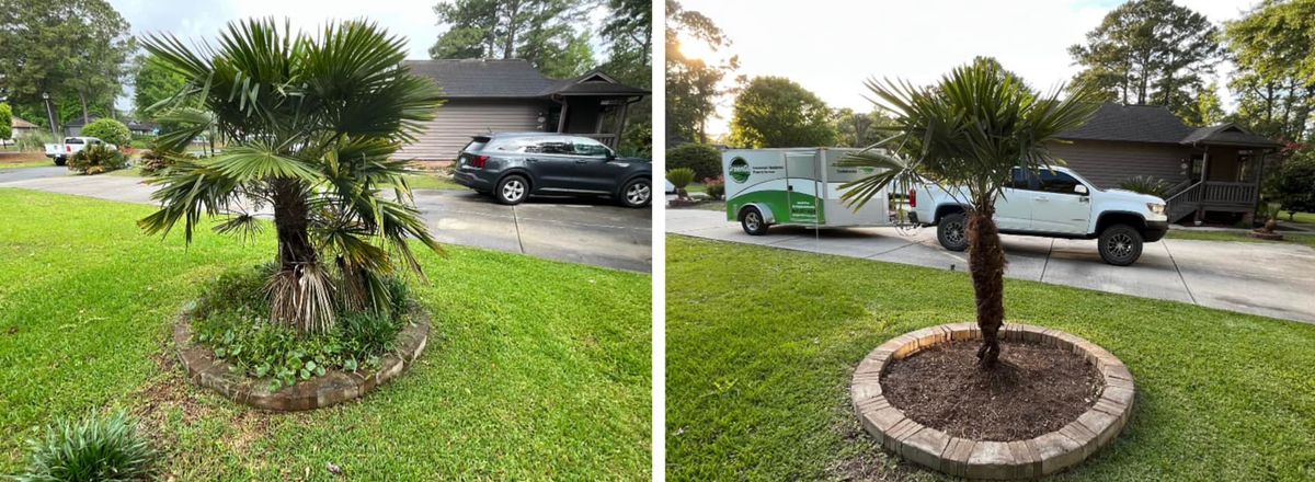 Brush Clearing for GreenGo Lawn Pros in Myrtle Beach, SC