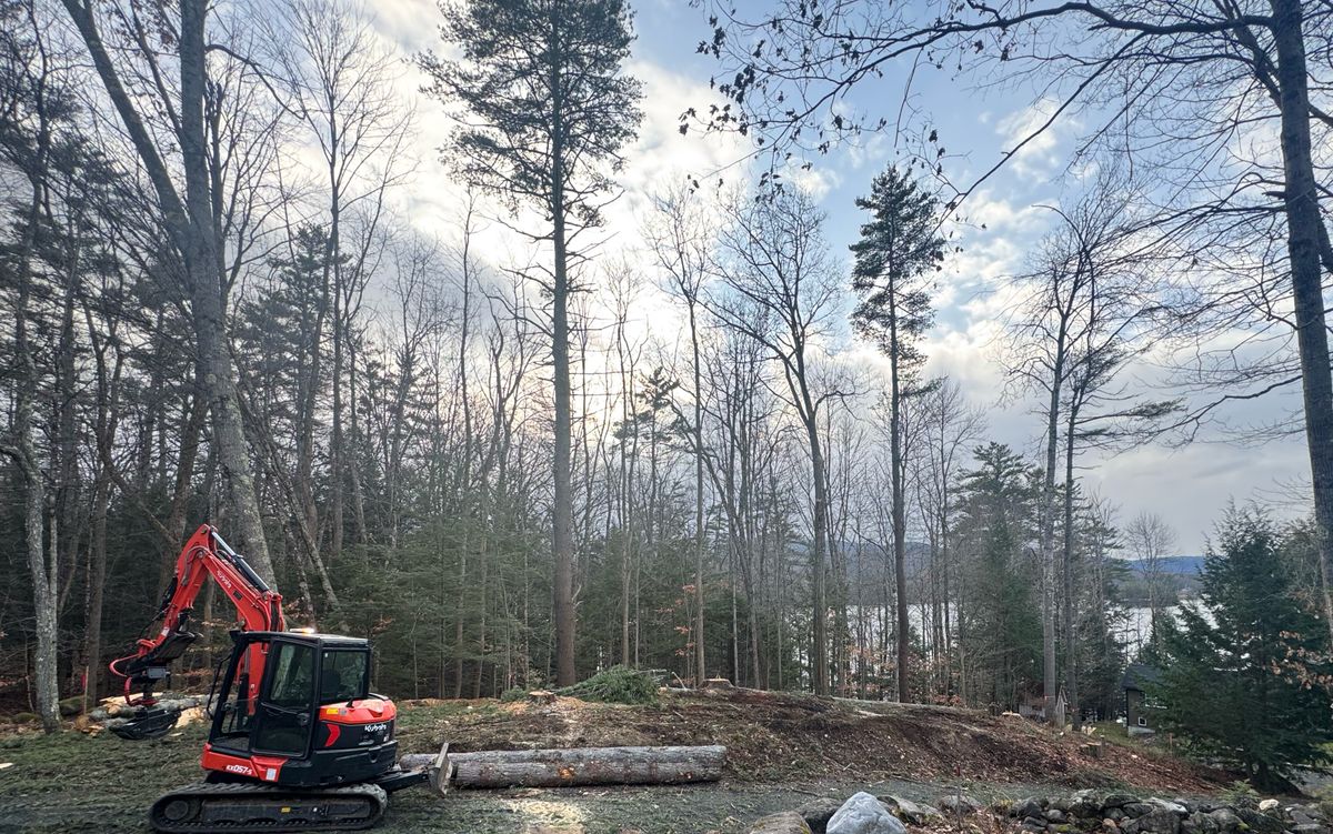 Tree Removal & Pruning for Clifford’s Quality Tree Care & Landscaping in Enfield, NH