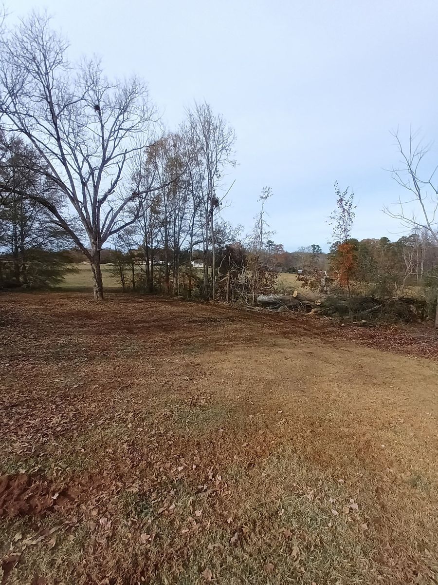 Fall Services for Goliath Tree Maintenance and Haul Away in Seneca, SC
