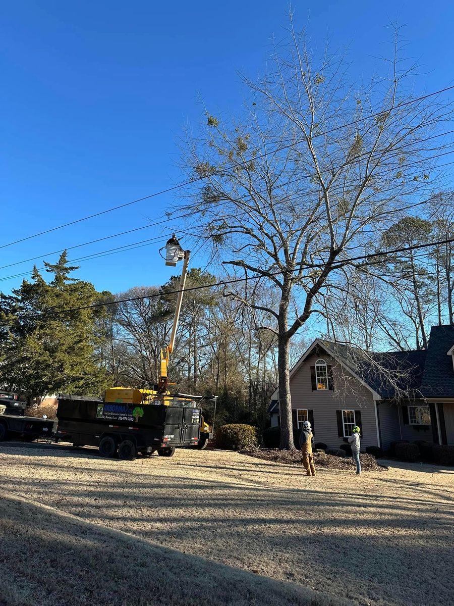 Tree Trimming for ArborMax in Thomaston, GA