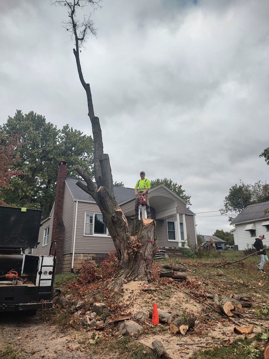 Tree Trimming for Billiter's Tree Service, LLC in Rootstown, Ohio