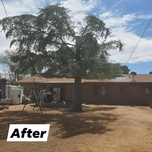 Tree Trimming for A to Z Grounds Keeping in Sierra Vista, AZ