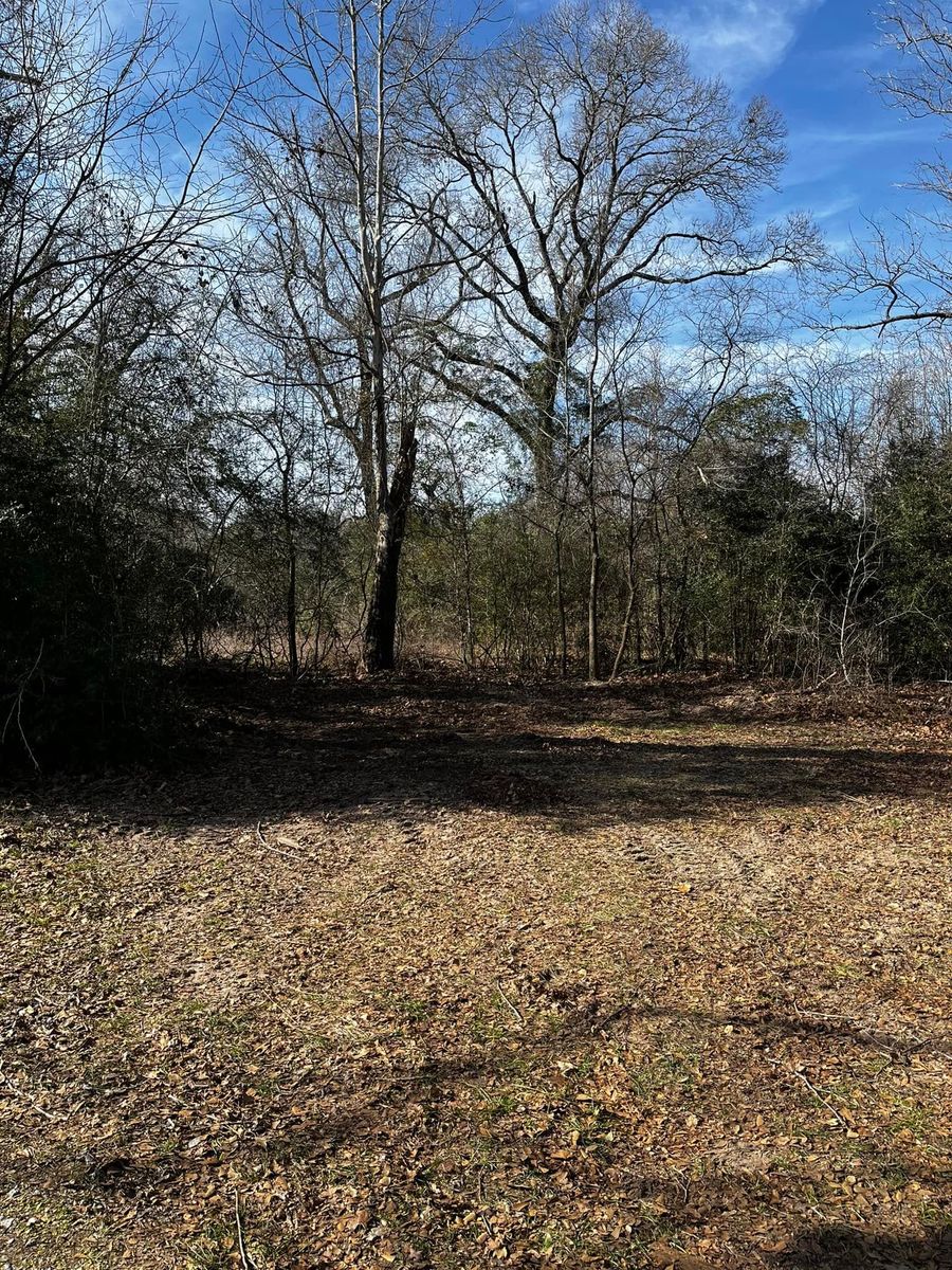 Tree Removal for H3 Land Management in Centerville, TX