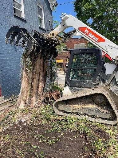 Stump Grinding & Removal for Patterson Excavation in Dry Ridge, KY