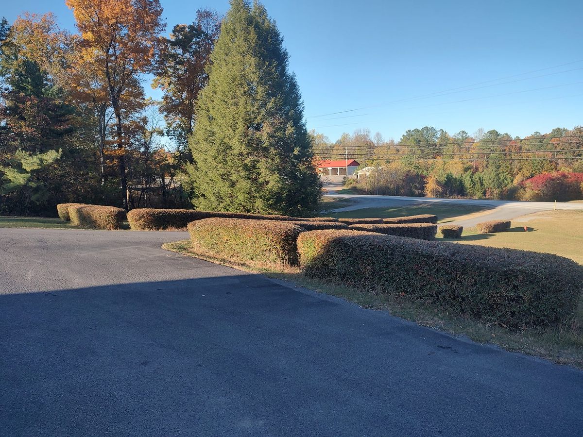 Tree & Shrub Care for Starnes Hardscapes & Property Management LLC in Dunlap, TN