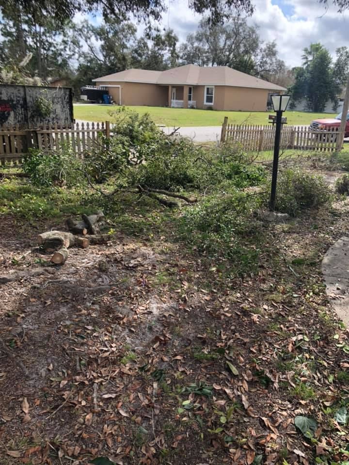 Fall Clean Up for Perfect MOs Landscaping in Hudson, FL