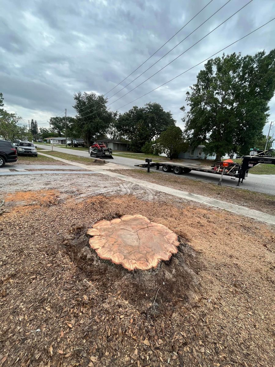 Stump Removal for McGraw’s Lawn and Tree Service in DeLand, FL