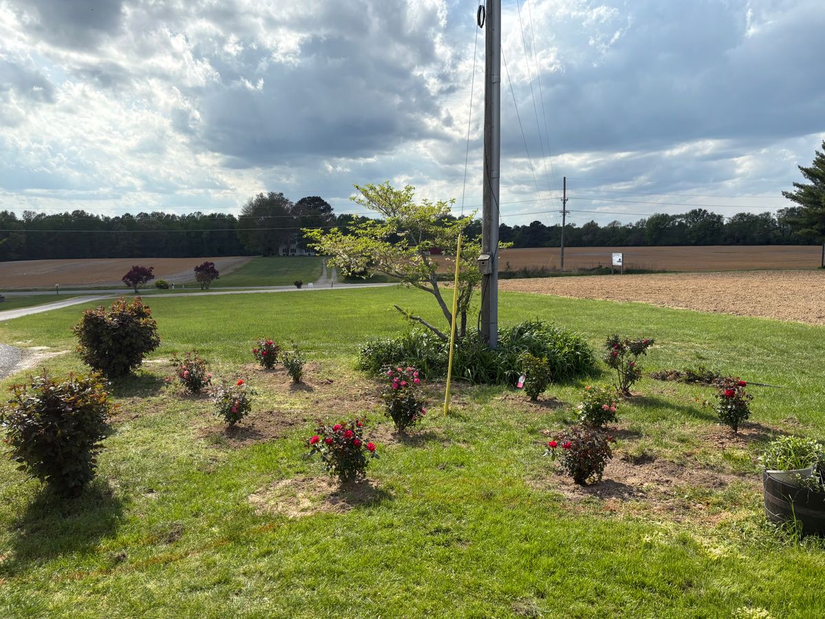 Shrub and Plant Trimming for The Whole 9 Yards Landscape VA in Heathsville, VA