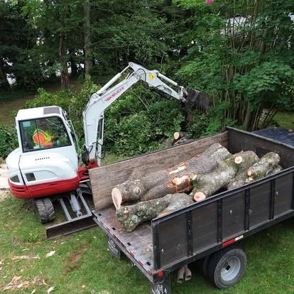 Tree Removal for Lopez Landscaping and Tree Service  in Waynesville, NC