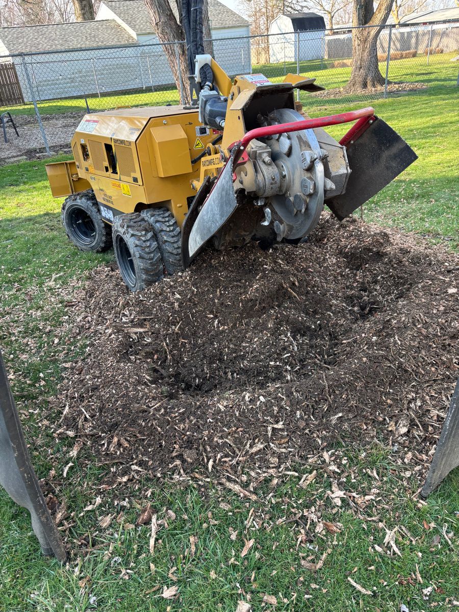 Stump Removal for Dean's Stump Removal in Youngstown, OH