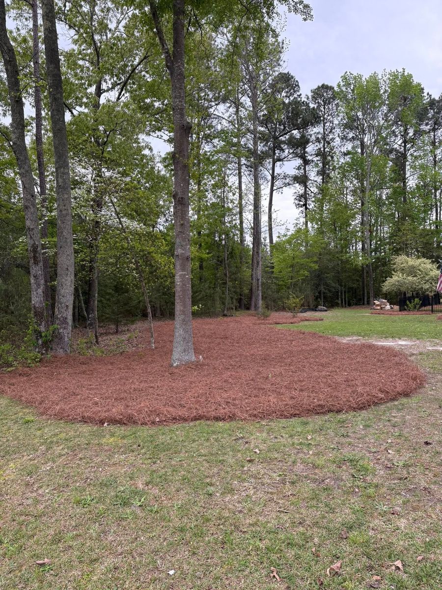 Mulch Installation for Henry’s Lawn Care & Landscaping, LLC in Wendell, NC
