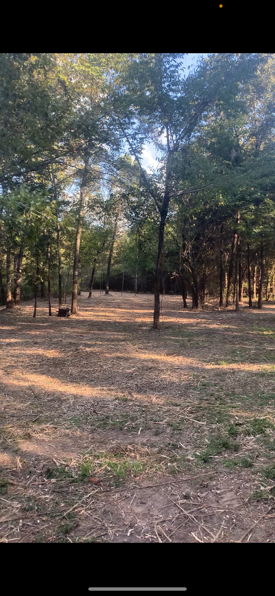 Land Clearing and Demolition for Polasini Land Development in Starkville, MS