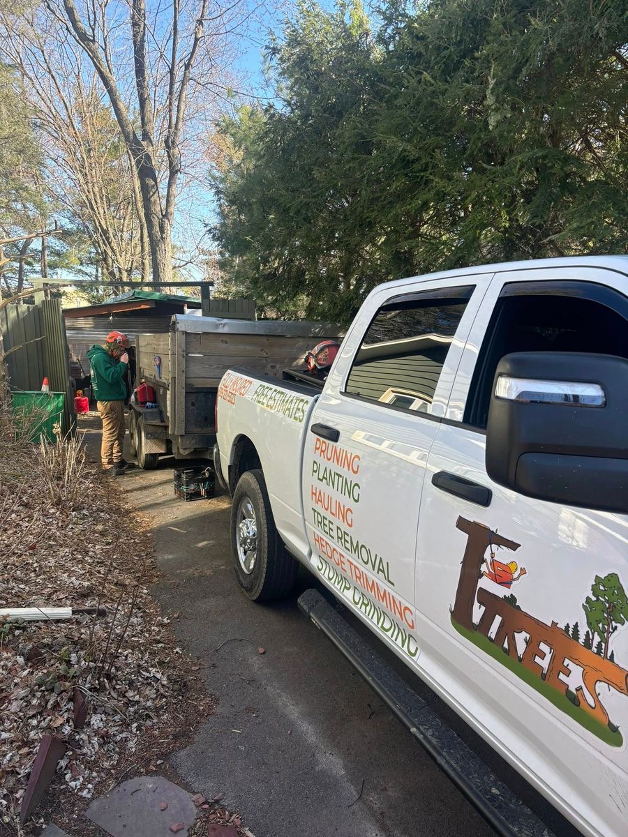 Hauling for T's Trees in Albany, NY