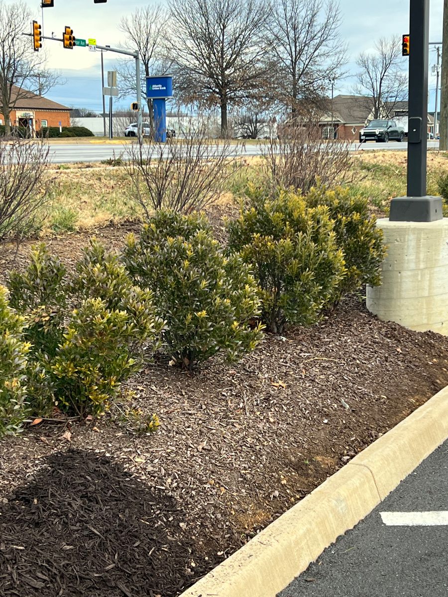 Mulch Installation for Valencia’s Lawncare in Charlottesville, VA