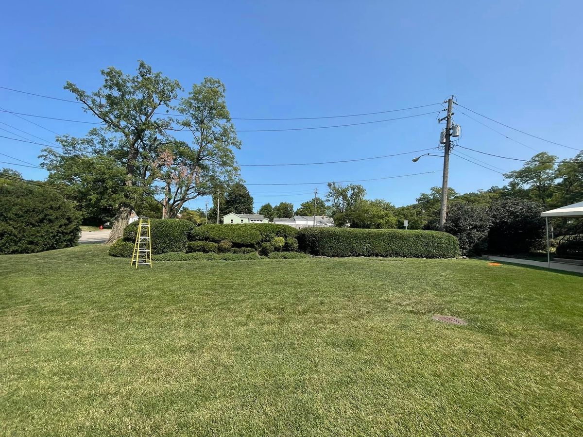 Clean Ups for Reynoso’s Fencing & Lawn Care in Painesville, OH