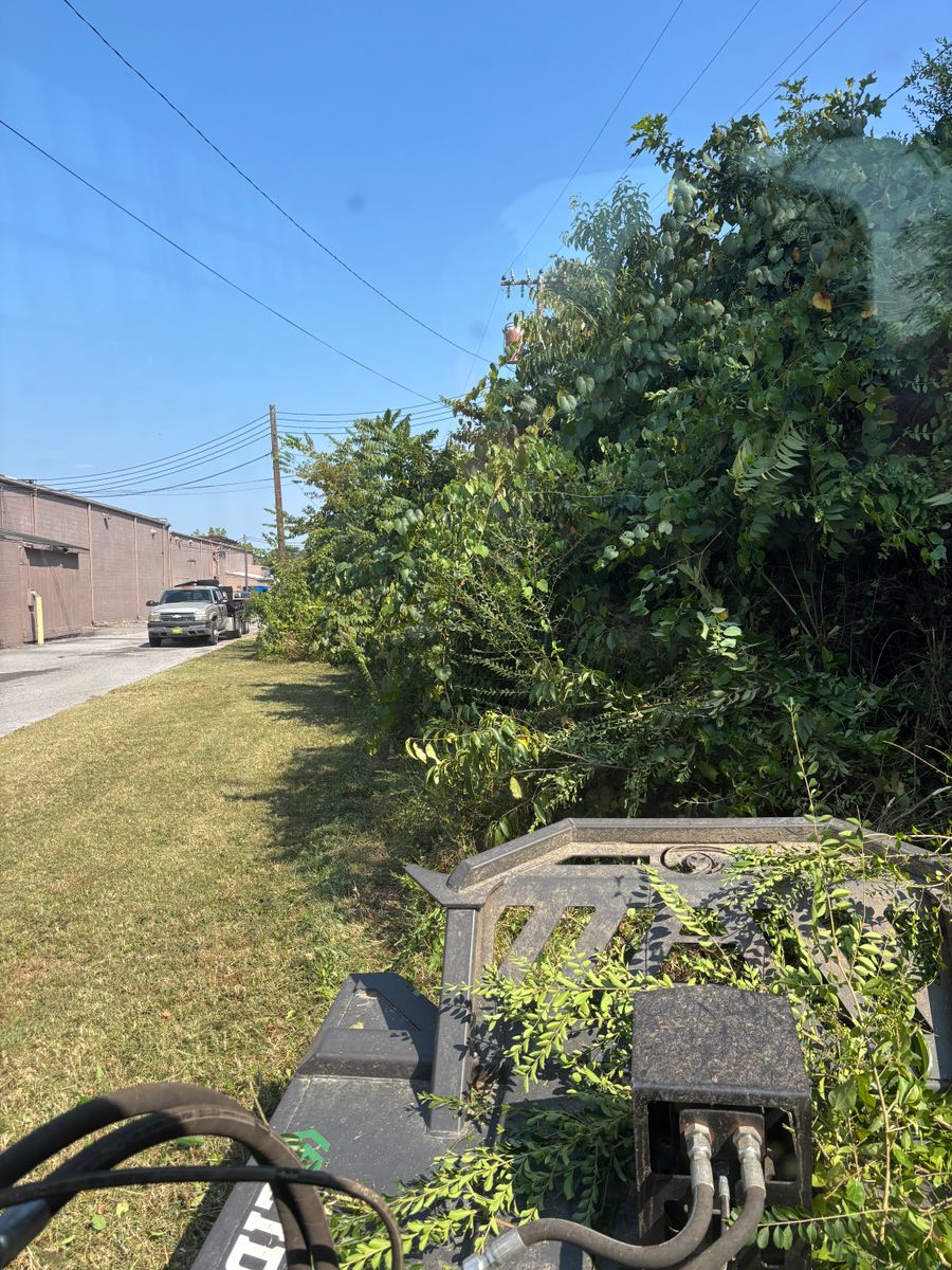 Land Clearing for Gregory Grass and Lawn in Lafayette, TN