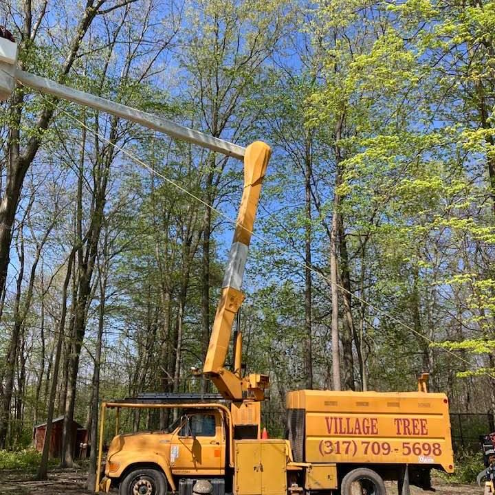 Storm Damage Clean Up for Village Tree Service in Whitestown, IN