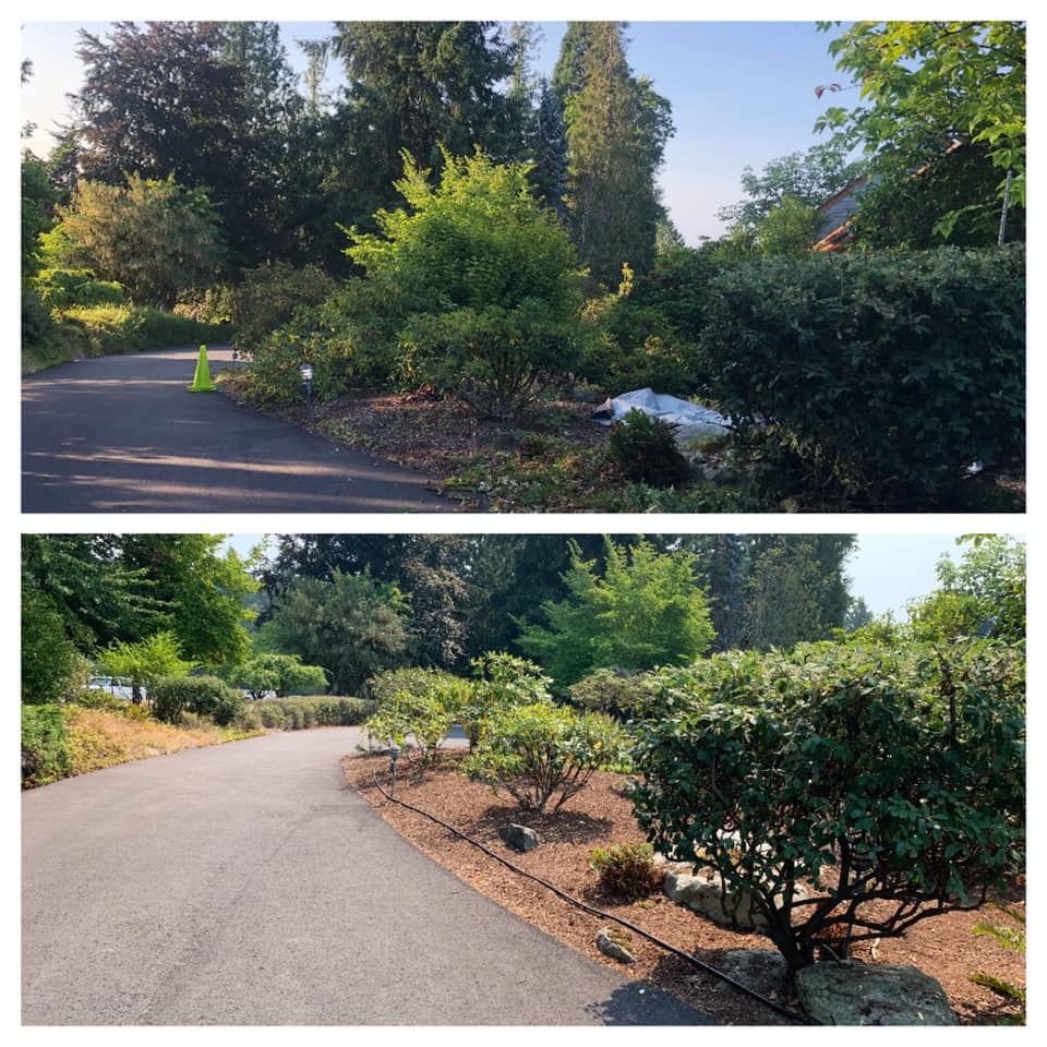 Fall Clean Up for Hall of Fame Landscaping in Bremerton, WA