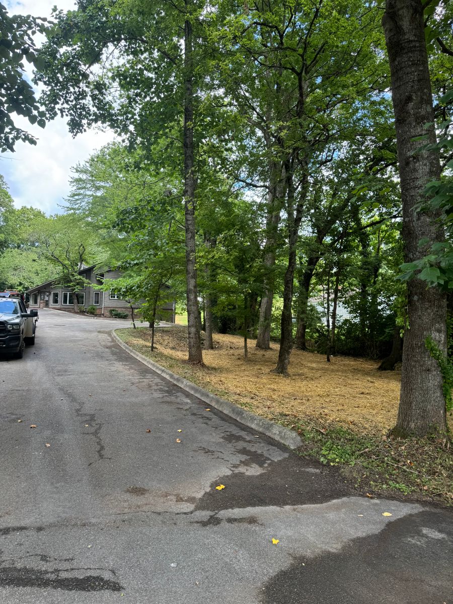 Land Clearing for Miller Farms Hay & Land Management in Knoxville, TN