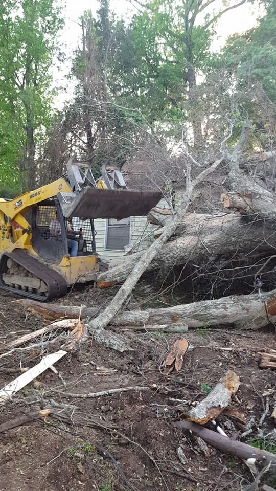 Emergency Tree Remeval for Morace Tree Service in Natchez,,  MS