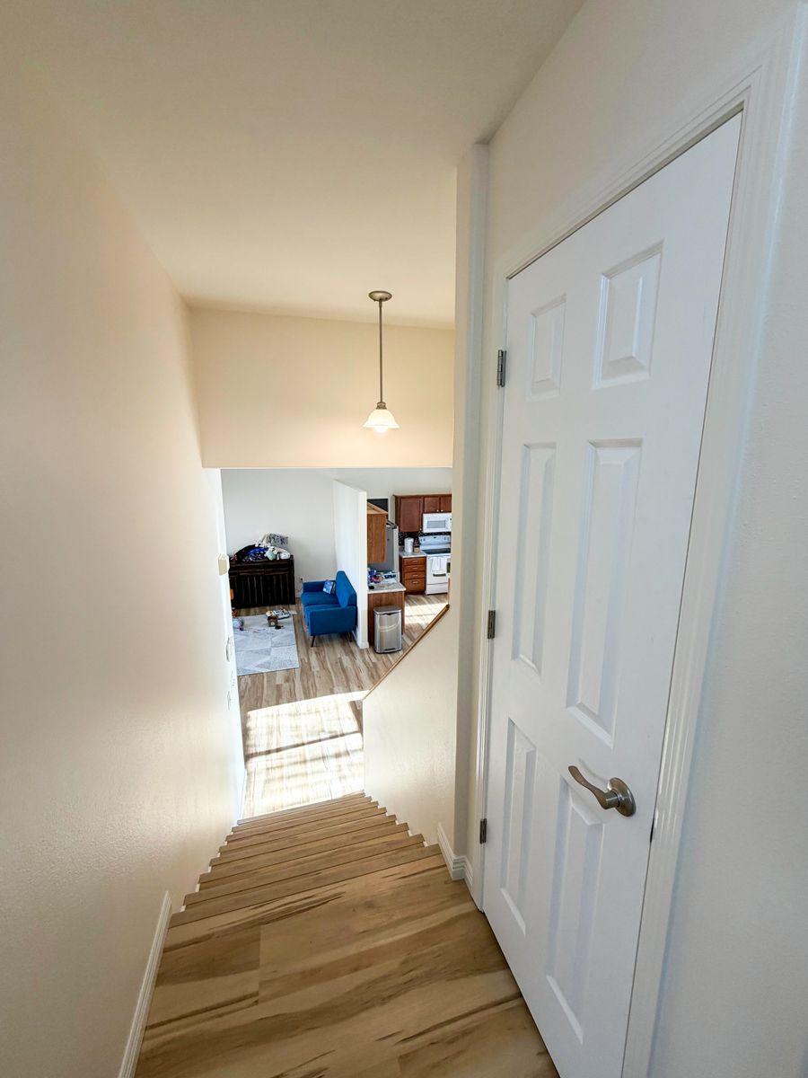 Interior Painting for Mr. Mole's Painting in Bemidji, MN