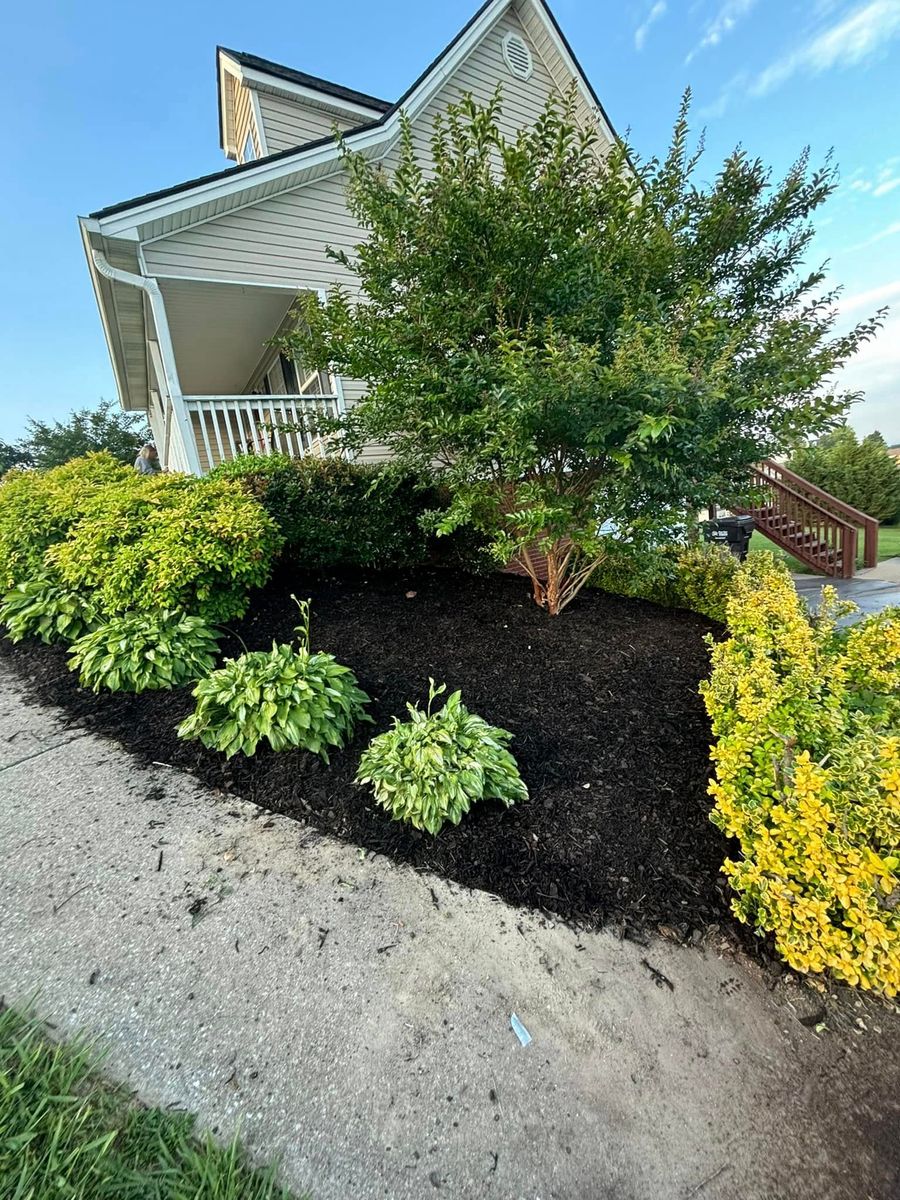 Mulch Installation for SEALY TREE and LAWN in Cleveland, TN