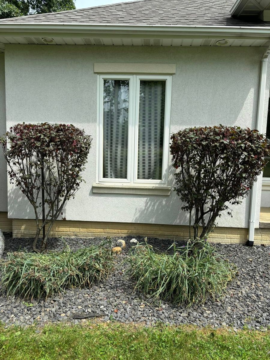 Tree & Shrub Care for Lopez Landscaping & Snow Removal LLC in Conneaut, OH