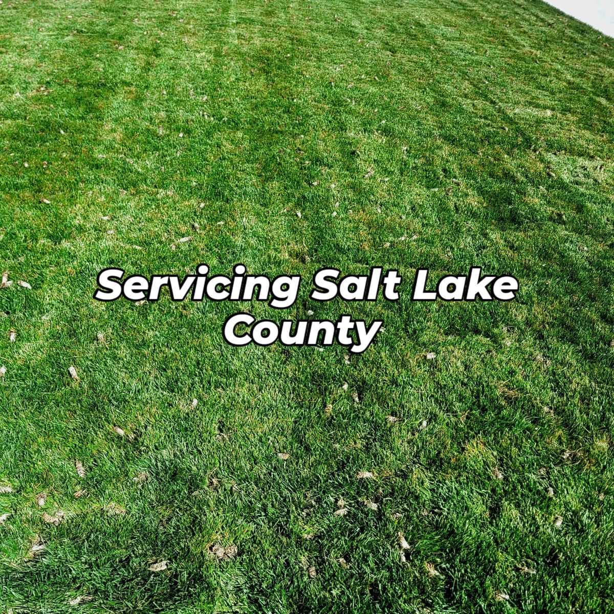 Lawn Maintenance for Silver Service Pros in Riverton, UT