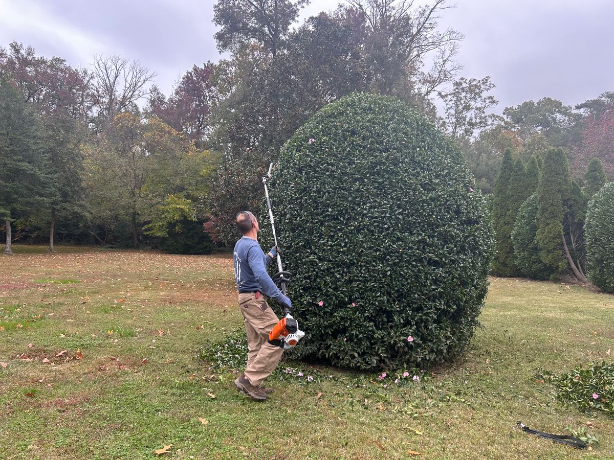 Flower Bed Installation  for The Whole 9 Yards Landscape VA in Heathsville, VA