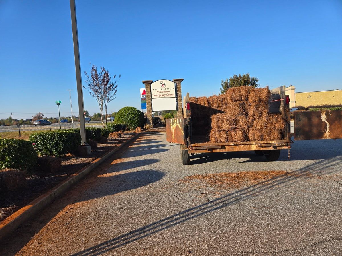 Mulch Installation for Zepeda's Mowing in Fort Valley, GA