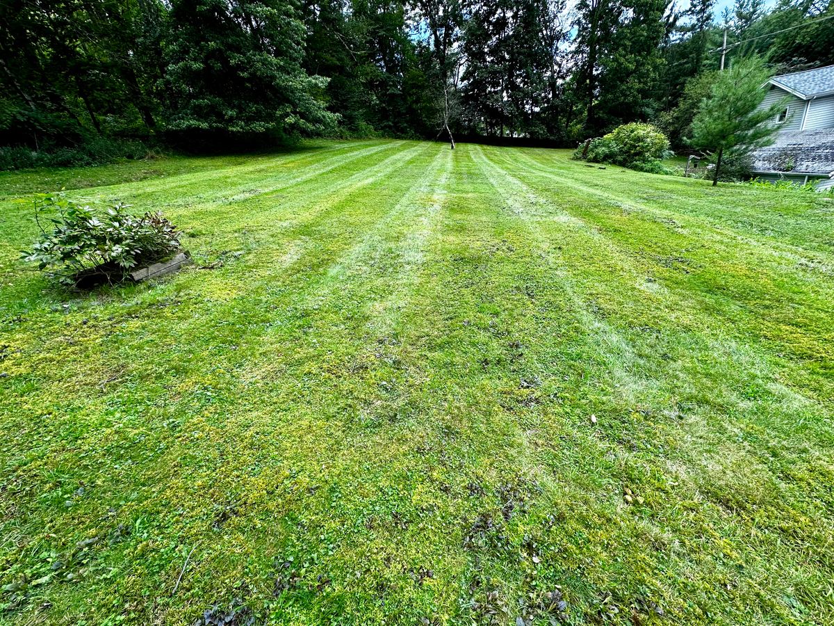 Fall Clean Up for Lopez Landscaping and Hardscapes in Scranton, PA