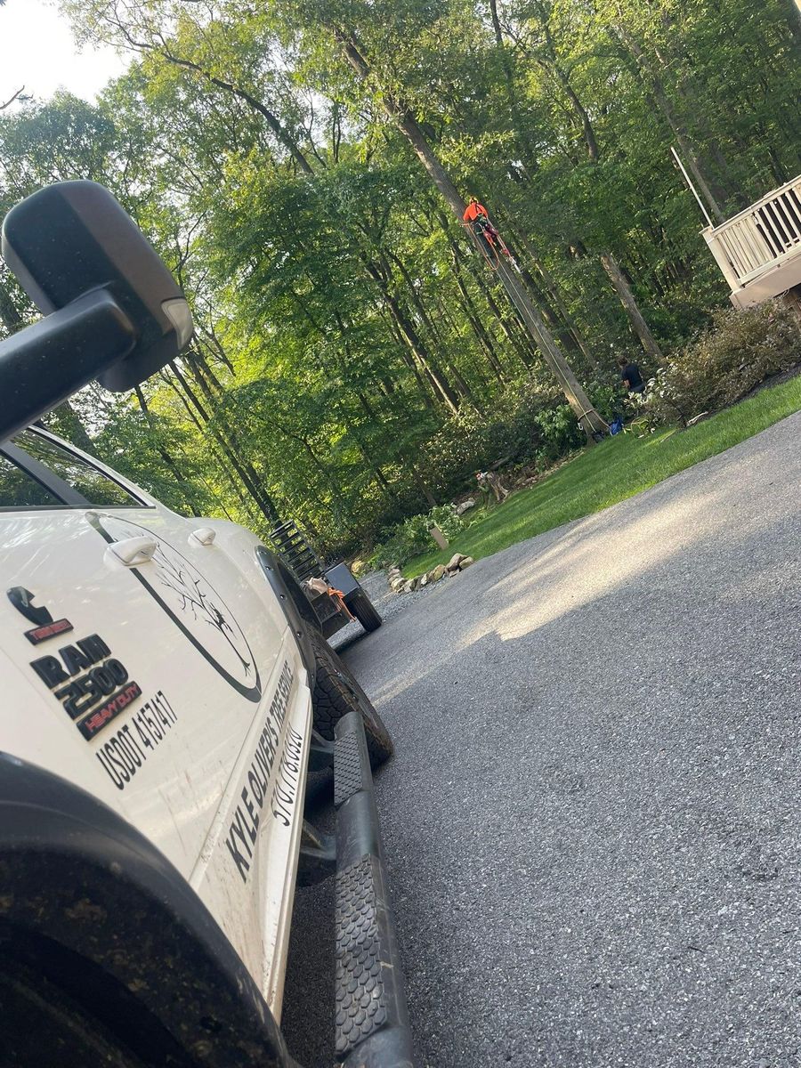 Tree Services for Jonathan A. Henne Property Services. in Hamburg, PA