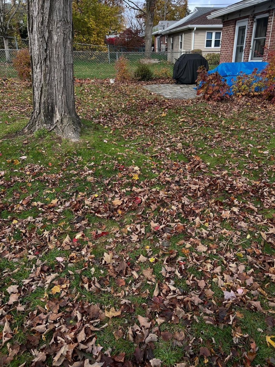 Spring and Fall Clean Ups for Bumblebee Lawn Care LLC in Albany, New York