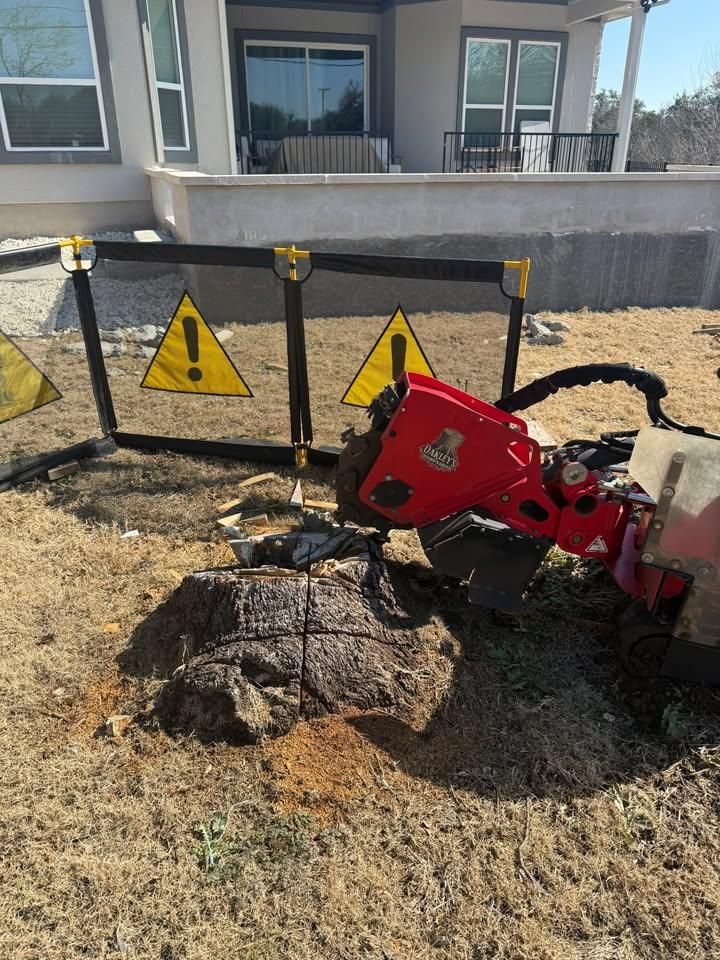 Tree Removal for Oakley’s Stump ‘N Grind in Leander, TX