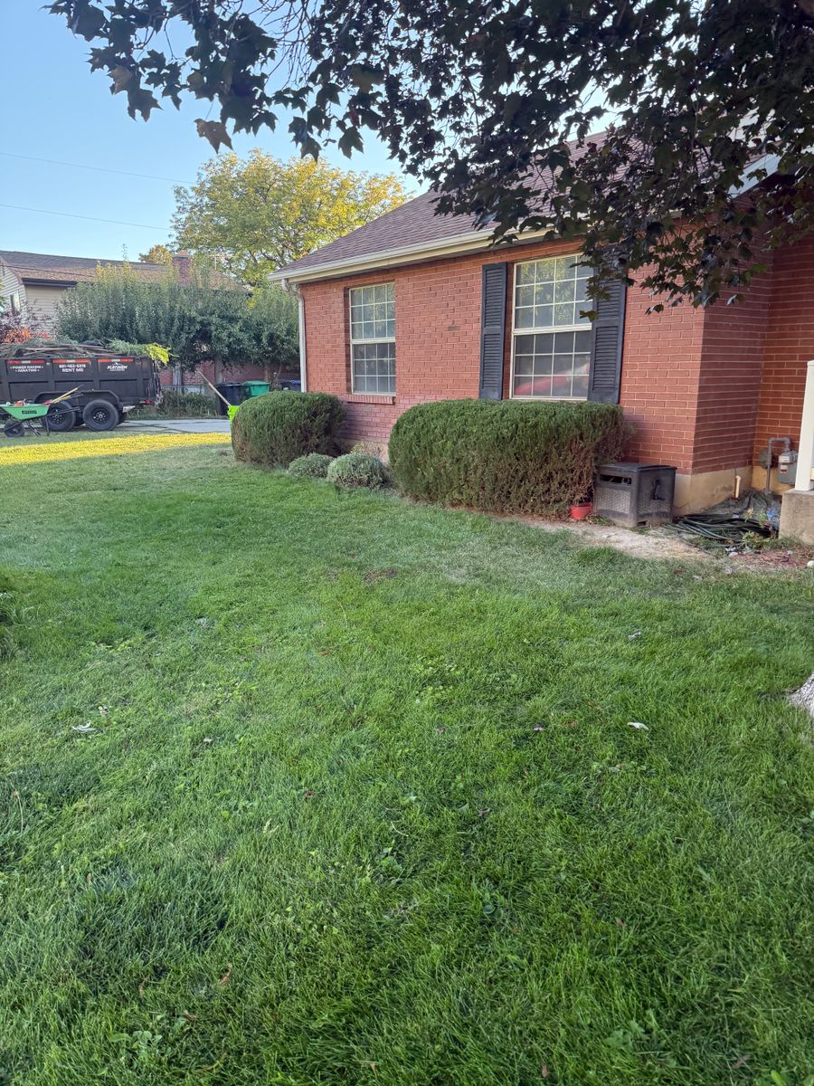 Weed Control for Platinum Lawn Service in Santaquin, UT