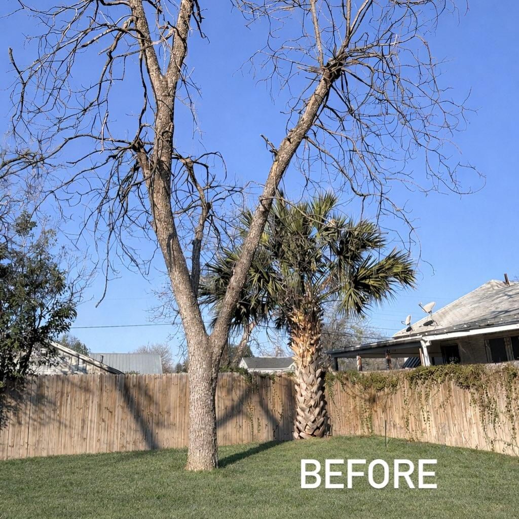 Landscape Installation for J and R Co. in San Antonio,  TX