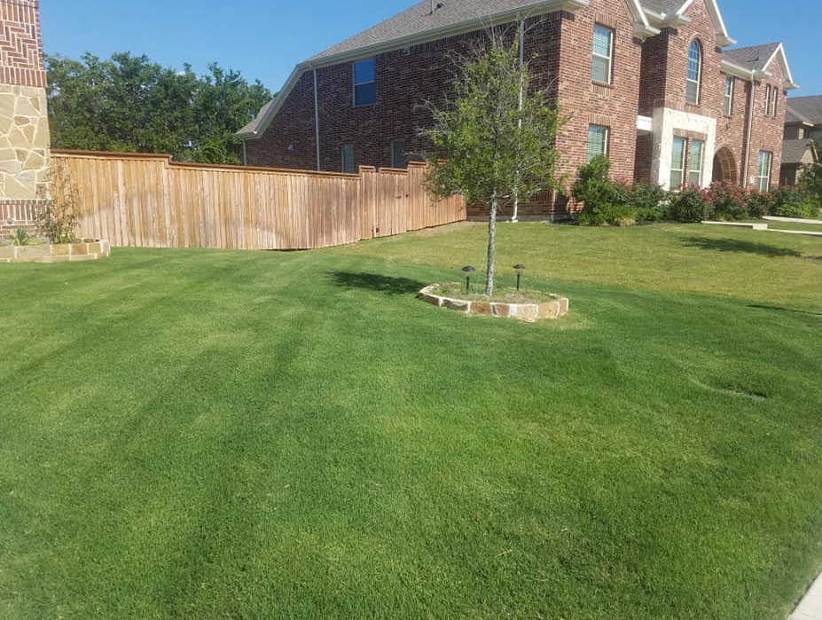 Lawn Maintenance for One Awesome Dad Lawn Care Service in Keller, TX