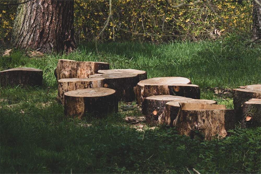 Stump Removal for Parker's Grading Services in Cleveland, GA