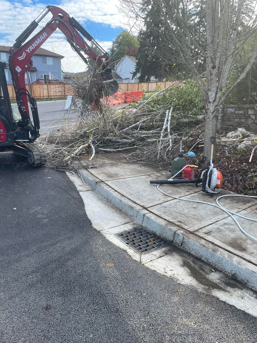 Patio Design & Construction for Stealth Landscaping in Black Diamond, WA