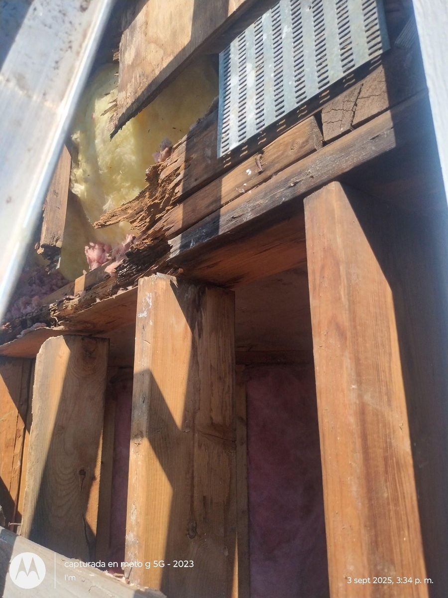 🛠️ Water Damage & Flood Restoration Services in Dallas–Fort Worth for Propertifix Handyman & Renovation Services in Lancaster, TX