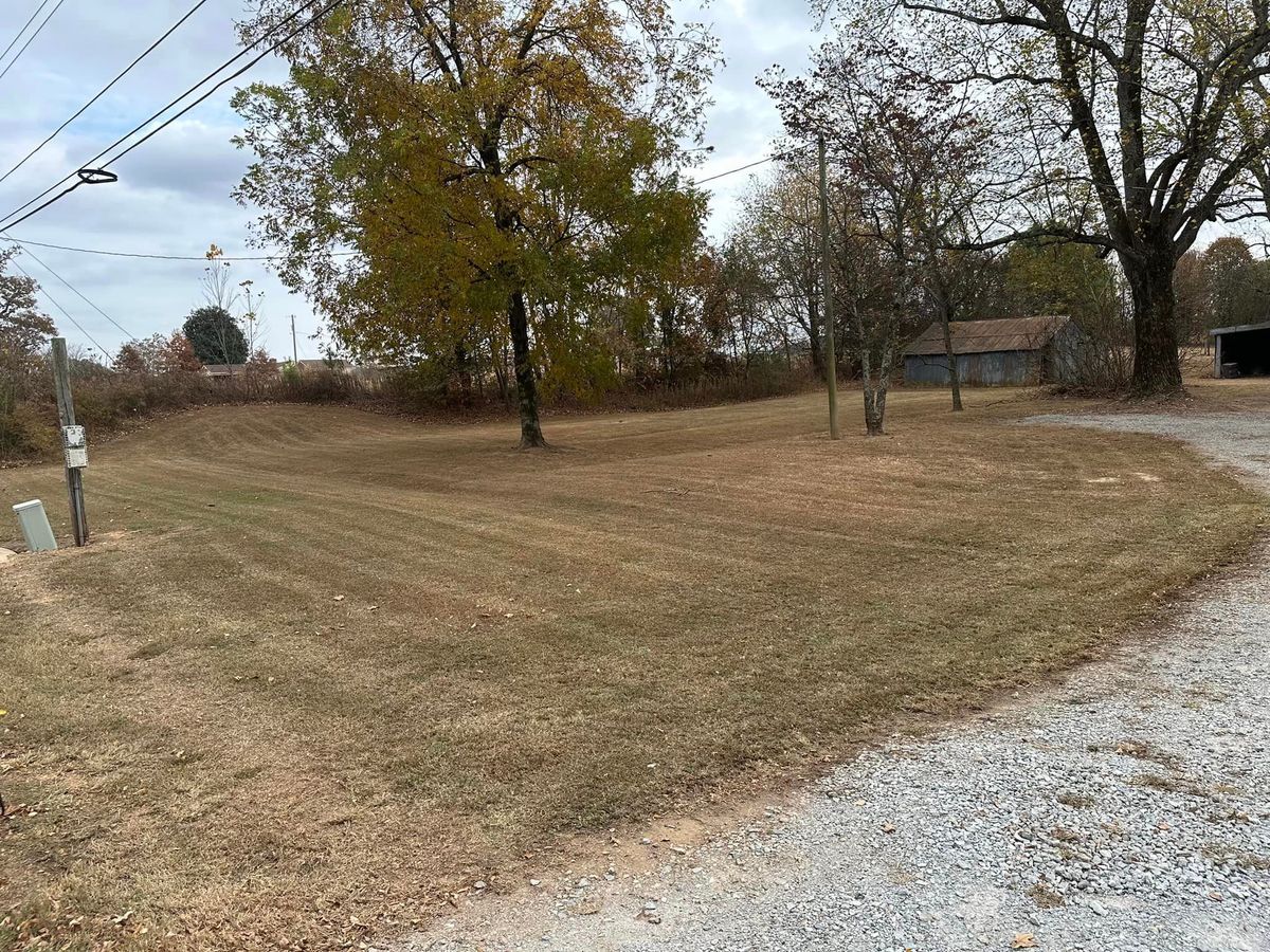 Tree Trimming for Vickers Lawns in Ardmore, Al