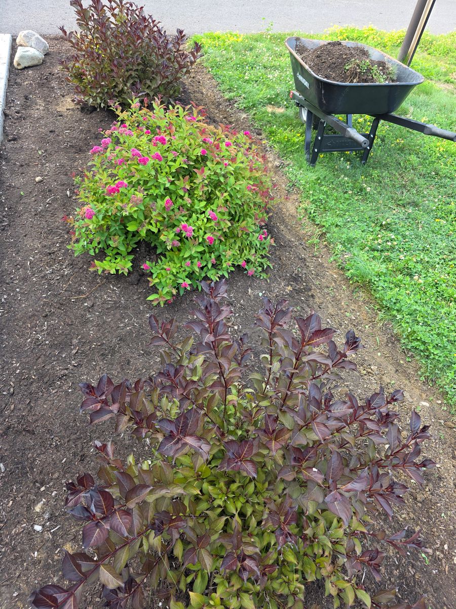 New Construction Landscaping Installations for Sweet Scapes in Ballston Spa, NY