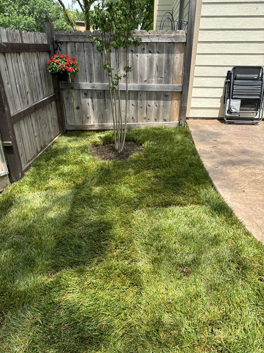 Sodding for FreshScapesPro in Wichita,  KS