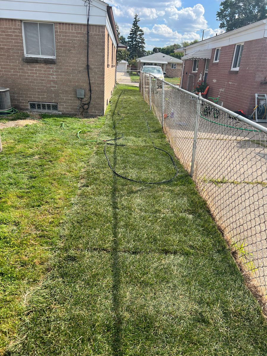 Sod Installation for Alltimate Outdoor Services in Warren, MI