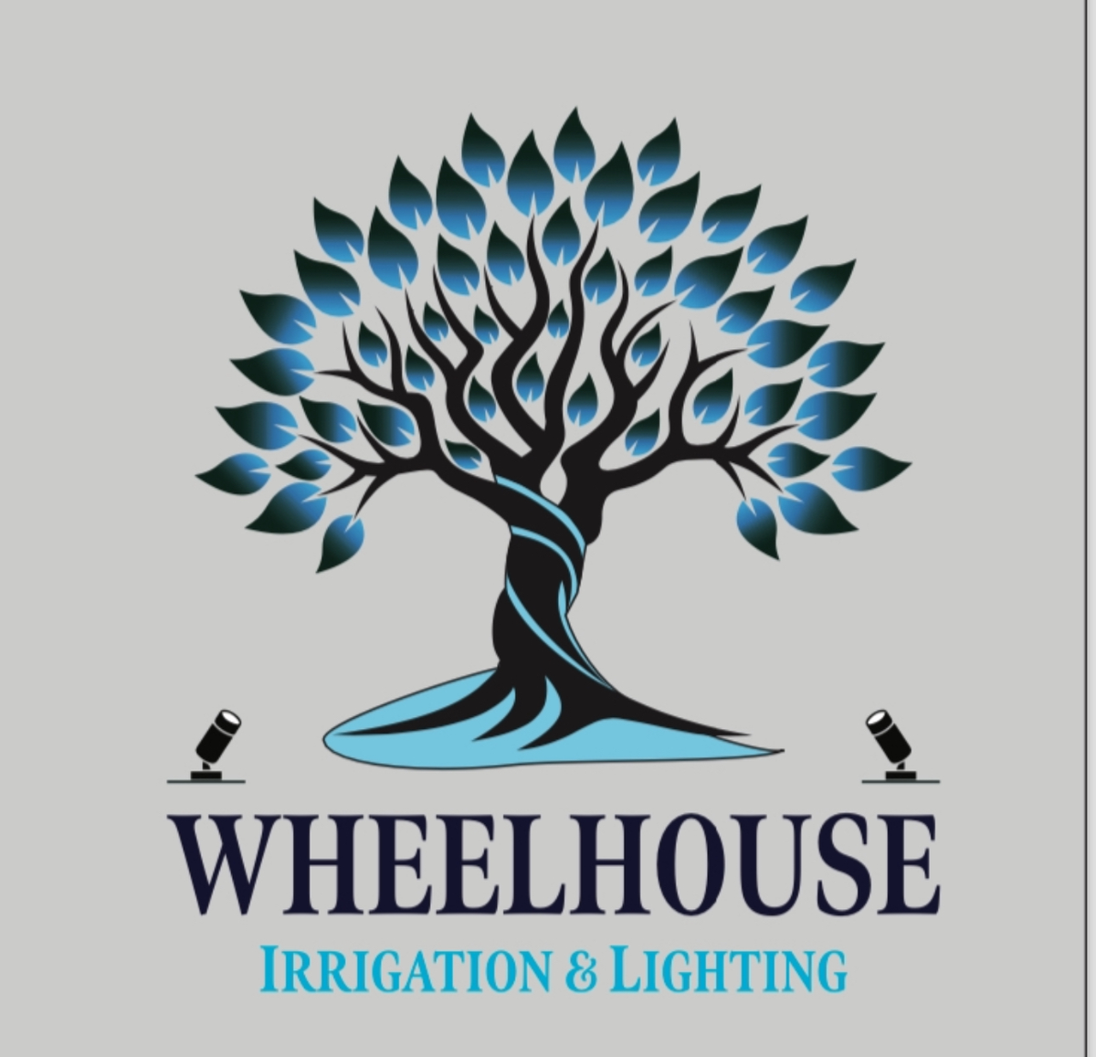 Landscape Lighting Installations for Wheelhouse Irrigation and lighting in Charleston, South Carolina